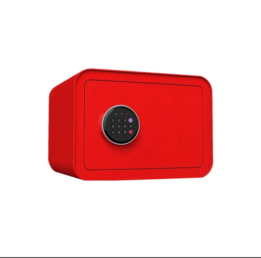 NY 10-KG Digital Numeric + Key - newways