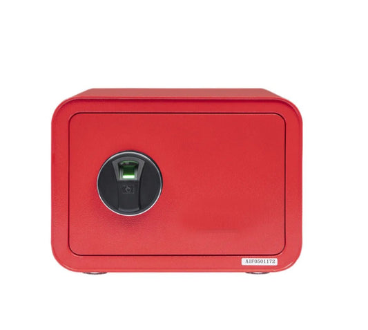 NY-10-KG (Thumb) Digital Security Locker - newways